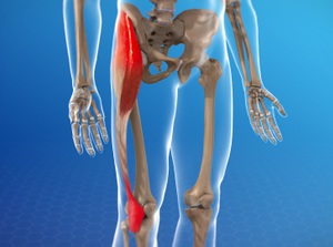 Iliotibial Band Syndrome: Over 51 Royalty-Free Licensable Stock