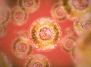 Stem Cell Therapy (Overview)